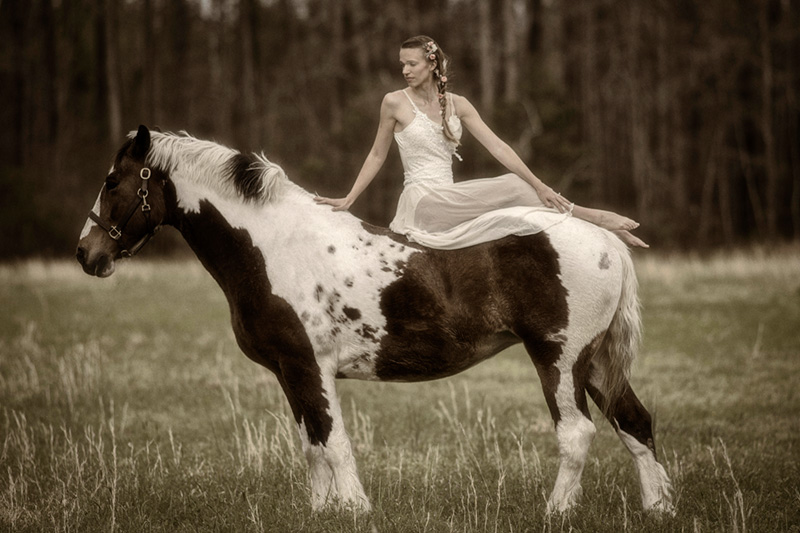 Model Shoot Horse Farm