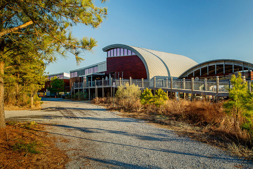 Brock Environmental Center – Architectural Photography | Hampton Roads ...